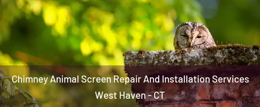  Chimney Animal Screen Repair And Installation Services West Haven - CT