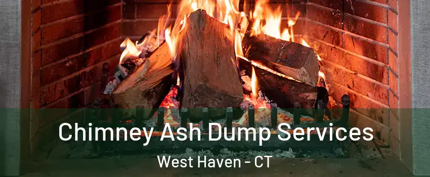  Chimney Ash Dump Services West Haven - CT