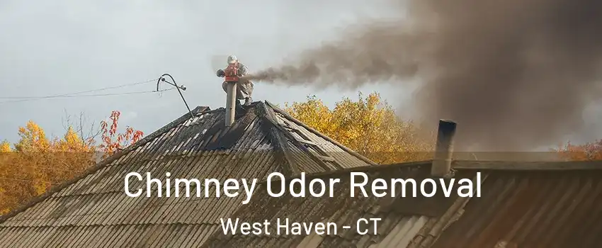  Chimney Odor Removal West Haven - CT