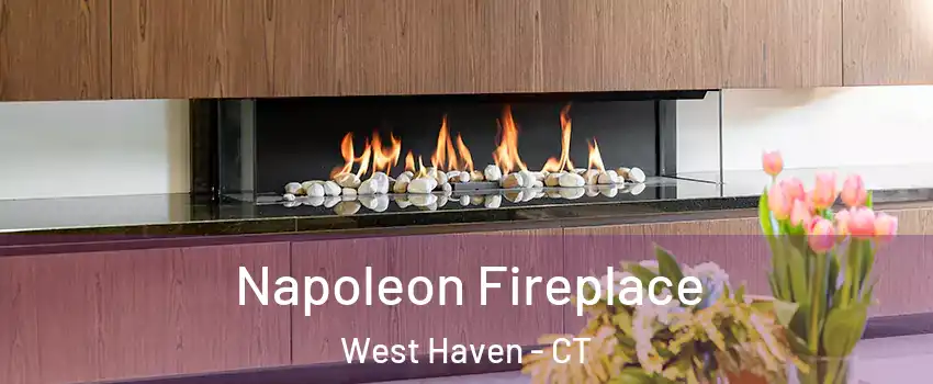  Napoleon Fireplace West Haven - CT